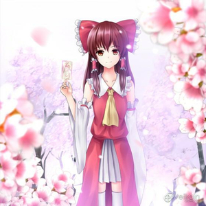 邮件代理小鲤导航
